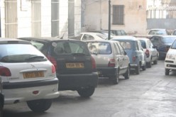 بومرداس: الحظائر العشوائية تغزو الأماكن العمومية