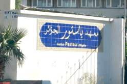 نصف مليون رضيع مهدد بالموت بعد شهر من الإصابة بفيروس التهاب الكبد الفيروسي والحصبة