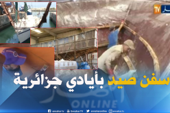 بالفيديو ..هكذا تبدع أيادي جزائرية في صناعة سفن الصيد