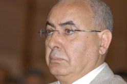 حشرة صغيرة تهدد العملاق سوناطراك