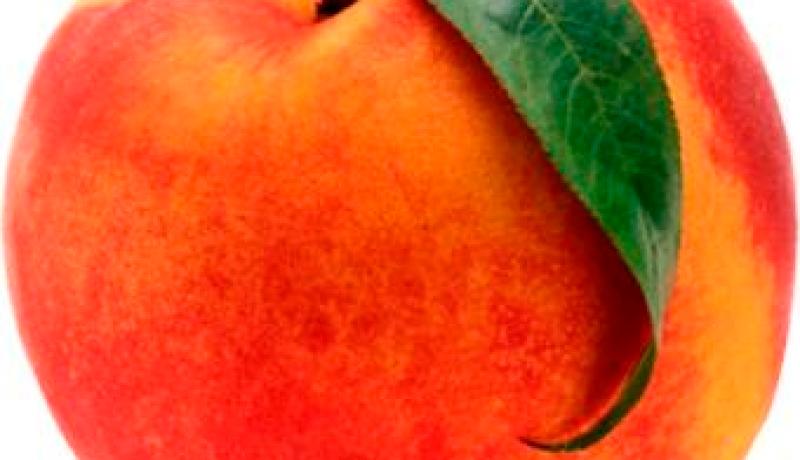 يسرق 150 كلغ ''خوخ'' من مستثمرة فلاحية في الكاليتوس في ليلة واحدة