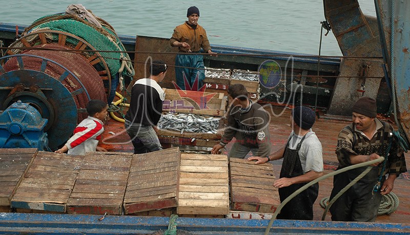 السرديــن بـــ1000 دينـــار أمـــر طبيعــي