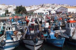 هلاك 1 طن من الأسماك المرباة في الأحواض المائية وواحد لتر من الزيت يلوث 6 آلاف متر مربع