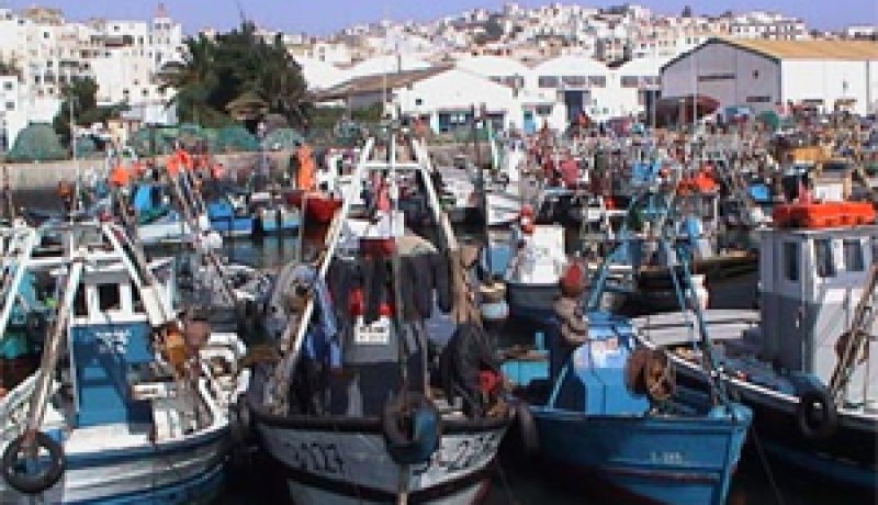 هلاك 1 طن من الأسماك المرباة في الأحواض المائية وواحد لتر من الزيت يلوث 6 آلاف متر مربع