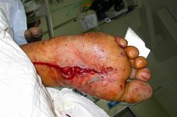 وقائع الاحتفال بالمولد النبوي الشريف تغرق في مشاهد  للفرح وأحرى لحرب حقيقة