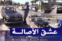 السيارات القديمة.. عشق لا ينتهي لهواة التحف الميكانيكية