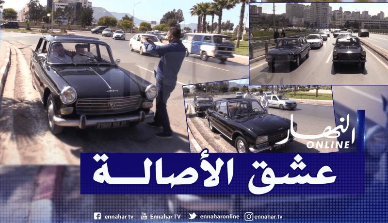 السيارات القديمة.. عشق لا ينتهي لهواة التحف الميكانيكية
