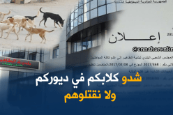 بلدية الطاهير بجيجل تطلق حملة لقتل الكلاب المتشردة