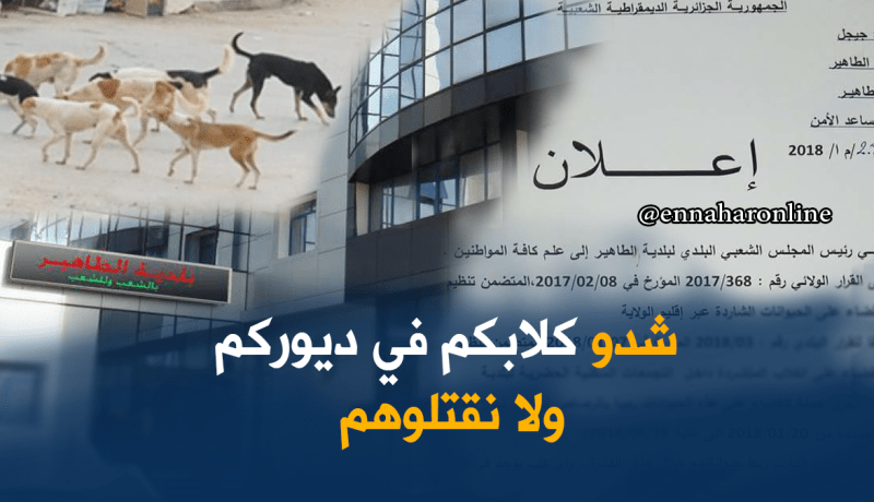 بلدية الطاهير بجيجل تطلق حملة لقتل الكلاب المتشردة