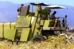 مساعدات مالية للفلاحين الذين تعرضت حصاداتهم للعطب