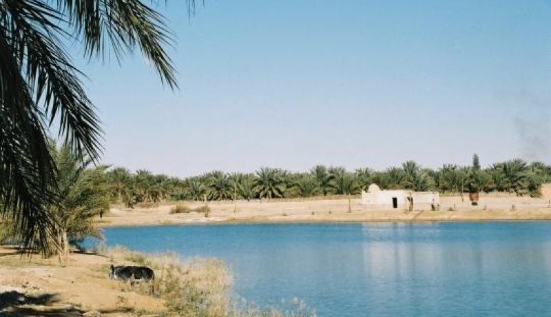 بالفيديو.. بحيرة تماسين مثال للسياحة المنسية في الجنوب