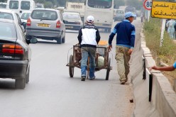 يبدو أن الطرق السريعة في الجزائر تحولت إلى ما يشبه معابر جماعية لتنقل كل أنواع العربات سواء المركوبة أو المجرورة.. وهو ما يعني أن وزارة النقل لا تزال بعيدة عن تنظيم حركة المرور حتى في العاصمة!!