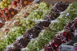 إنشاء دار المستهلك قريبا بوهران