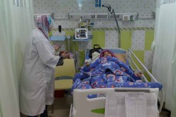 وفاة شخصين وتحويل 1850 آخرين على الاستعجالات بسبب الصمايم