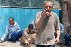 مجانين.. لكنهم مشاهير