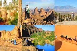 أزيد من 500 مشروع سياحي معتمد بمنطقة الجنوب  