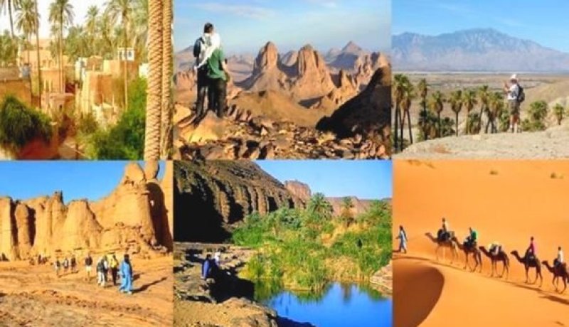 أزيد من 500 مشروع سياحي معتمد بمنطقة الجنوب  