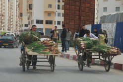 من الانجازات العملاقة التي حققتها الحكومة في مختلف المجالات، هذه الصورة نموذجا عن امتصاص البطالة، التي يفتخر العديد من وزرائنا بالقضاء على شبحها؟