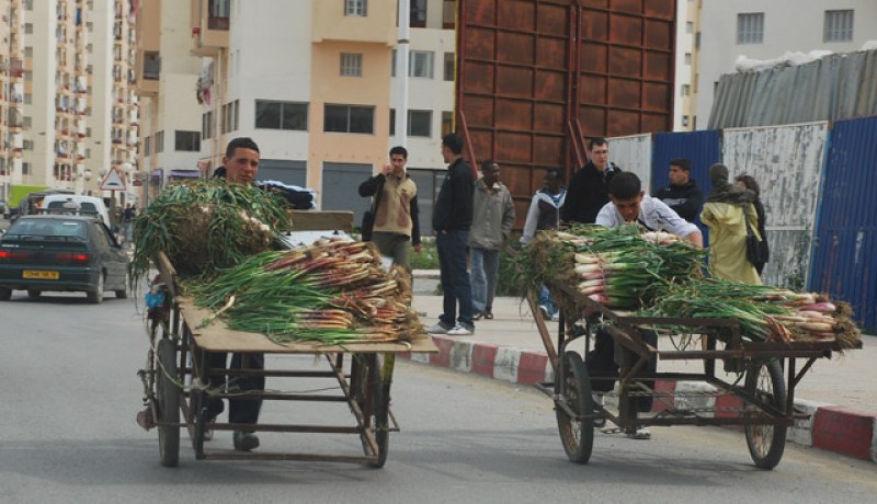من الانجازات العملاقة التي حققتها الحكومة في مختلف المجالات، هذه الصورة نموذجا عن امتصاص البطالة، التي يفتخر العديد من وزرائنا بالقضاء على شبحها؟