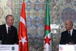 رئيس الجمهورية يتلقى اتصالا من نظيره التركي