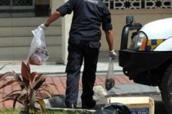 وضع رؤوس خنازير أمام مسجد في فرنسا