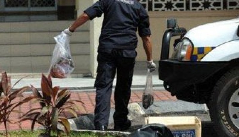 وضع رؤوس خنازير أمام مسجد في فرنسا