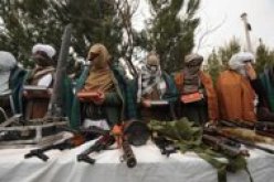 القاعدة تقطع رؤوس 3 اشخاص في وسط اليمن لاتهامهم بالتجسس