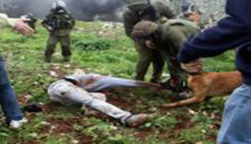 ثلاثة جرحى واعتقال فلسطينيين اثر اشتباكات مع الجيش الاسرائيلي في الضفة الغربية