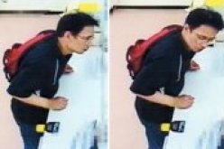 القبض على اخر عضو فار من طائفة آوم التي نفذت هجوما بغاز السارين على قطار بطوكيو