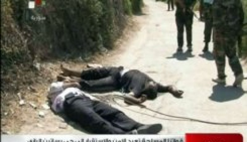 أكثر من 1250 قتيلا في سوريا في أسبوع