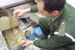 تدشين معهد تقنية البصمات الكيماوية للمخدرات في نوفمبر المقبل…خلط العفيون بالتوابل وإدخاله من الجنوب بكميات صغيرة من التقنيات الجديدة للتهريب