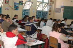 أخصائيون يرجعون السبب إلى نقص النظافة بالمؤسسات والمسؤولون يؤكدون أنه راجع للاختلاط : القمل يغزو عالم الأغنياء ويدخل المؤسسات التعليمية والتحضيرية الخاصة