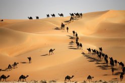 35 صورة تذكرنا بأننا لسنا وحدنا على الأرض