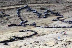 1000 ‬طفل فلسطيني‮ ‬يرسمون لوحة بشرية لحمامة السلام