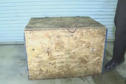 بالصور.. أبٌ يجبر طفلته على العيش في صندوق مليء بالحشرات