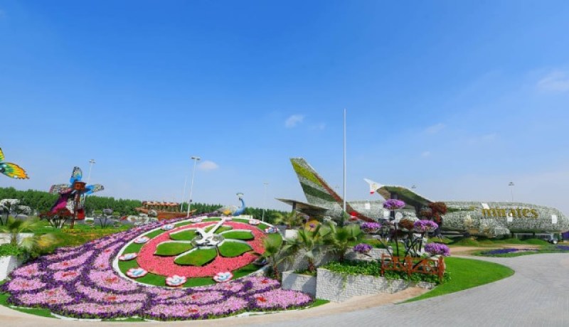 بالصور والفيديو..  أكبر مجسم طائرة حقيقي لطيران الإمارات من الزهور