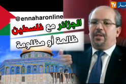 محمد عيسى: الجزائر مع فلسطين ظالمة أومظلومة