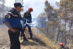 بالصور.. إصابة 6 عناصر حماية المدنية خلال إخماد نيران محمية الشريعة بالبليدة