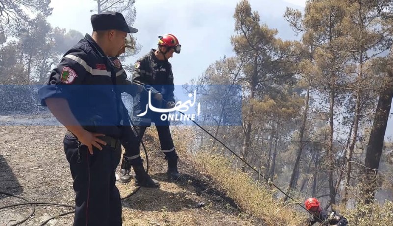 بالصور.. إصابة 6 عناصر حماية المدنية خلال إخماد نيران محمية الشريعة بالبليدة