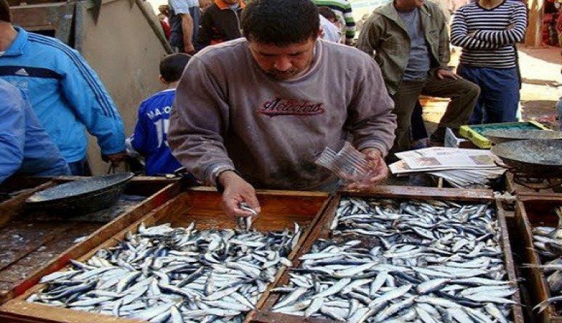 توقيف 4 باعة “السّردين” سكارى اعتدوا على مراهقين في العاصمة