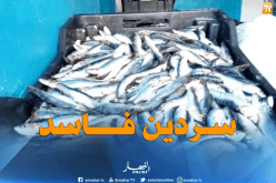 حجز 241 كلغ من السردين غير صالح للإستهلاك بأسواق قسنطينة