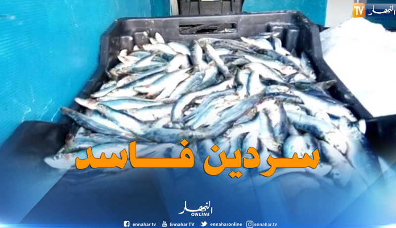 حجز 241 كلغ من السردين غير صالح للإستهلاك بأسواق قسنطينة