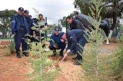 الأمن الوطني يطلق حملة تشجير عبر كافة مصالح ومرافق الشرطة