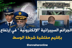 تسجيل 725 جريمة سيبرانية بوسط البلاد في الـ 2017