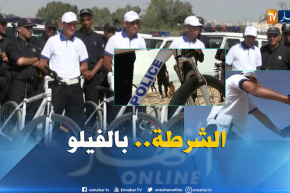 أمن: الدراجات الهوائية..فرقة شرطية مستحدثة لتأمين الشواطئ