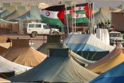 الحكومة الصحراوية تعتزم وضع مخطط لإعادة اعمار الأراضي الصحراوية المحررة