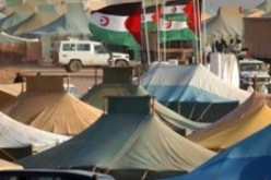 الجمهورية الصحراوية تدعو الاتحاد الأوربي للتدخل