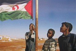 نقلت مأساة الشعب الصحراوي في المخيمات في مجموعاتها الشعرية…نانة لبات الرشيد تدعو إلى مقاطعة التظاهرات الثقافية في الأراضي المحتلة