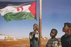 ” الصحراويون” لحقوق الانسان عازمون على مواصلة مقاومتهم السلمية