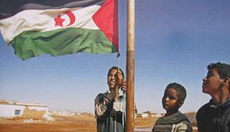 ” الصحراويون” لحقوق الانسان عازمون على مواصلة مقاومتهم السلمية